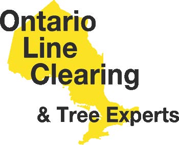 Ontario Line Clearing & Tree Experts
