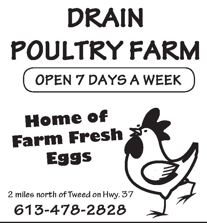 Drain Poultry Farm