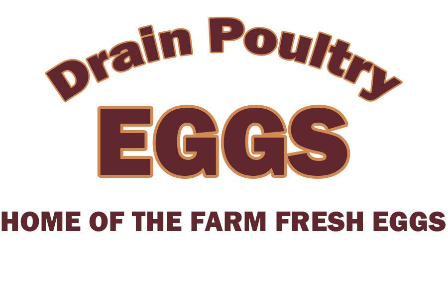 Drain Poultry