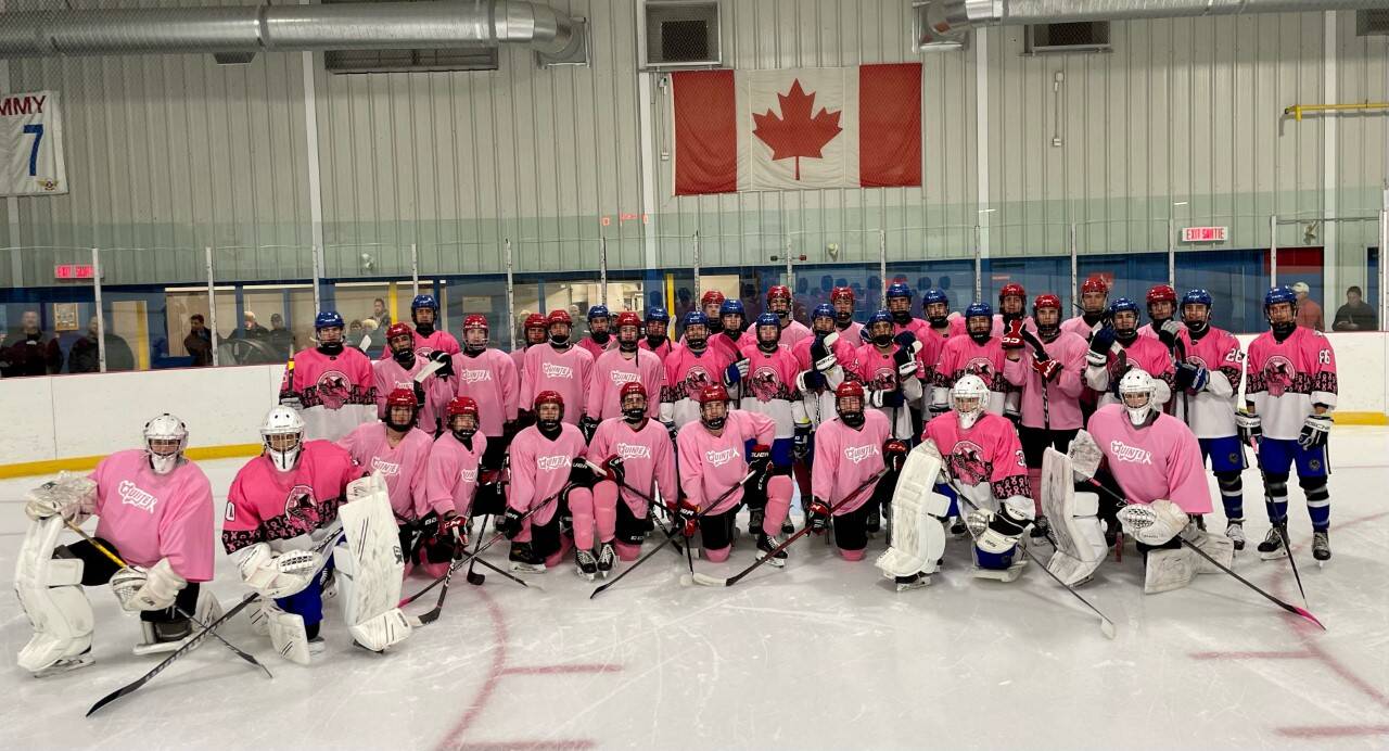 pink_in_the_rink.jpg
