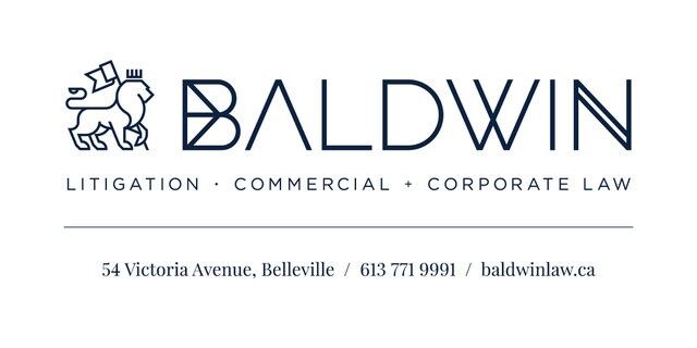 Baldwin Litigation - Commercial - Corporate Law